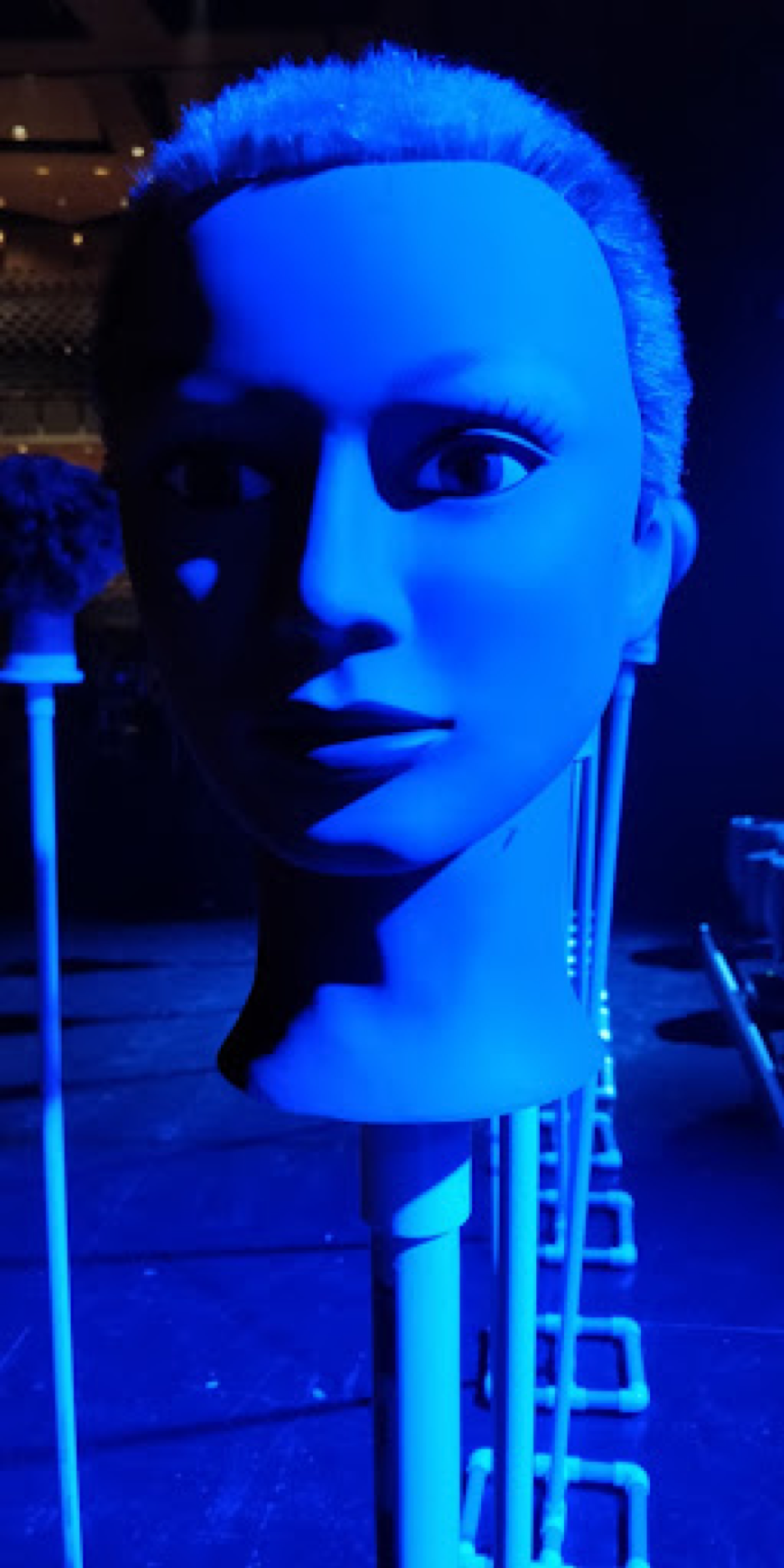 mannequin, head, lighting, aim, stand-in,